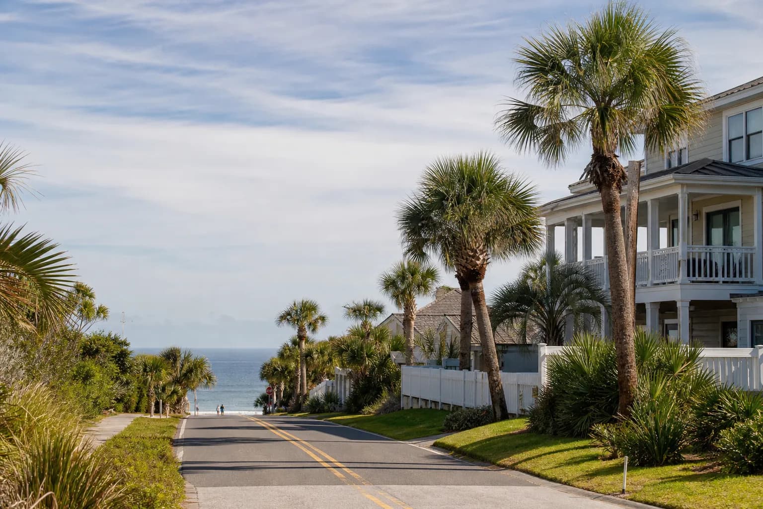 Tree Care at the Jacksonville Beaches: Salt, Wind, and Coastal Palms